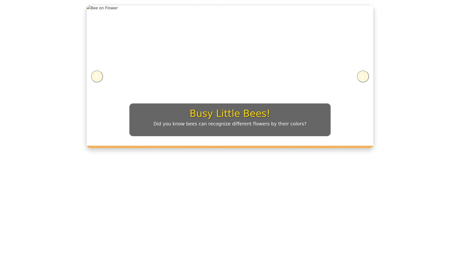 Component Preview