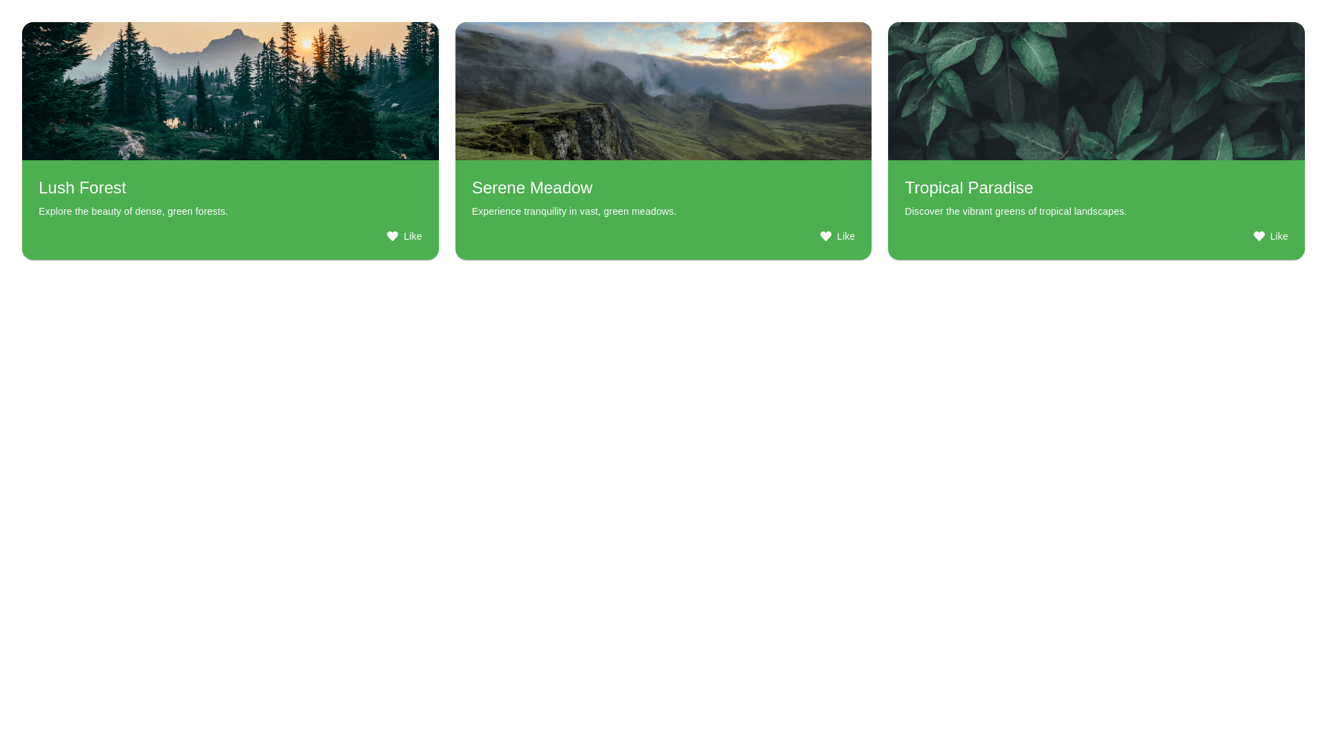 Component Preview