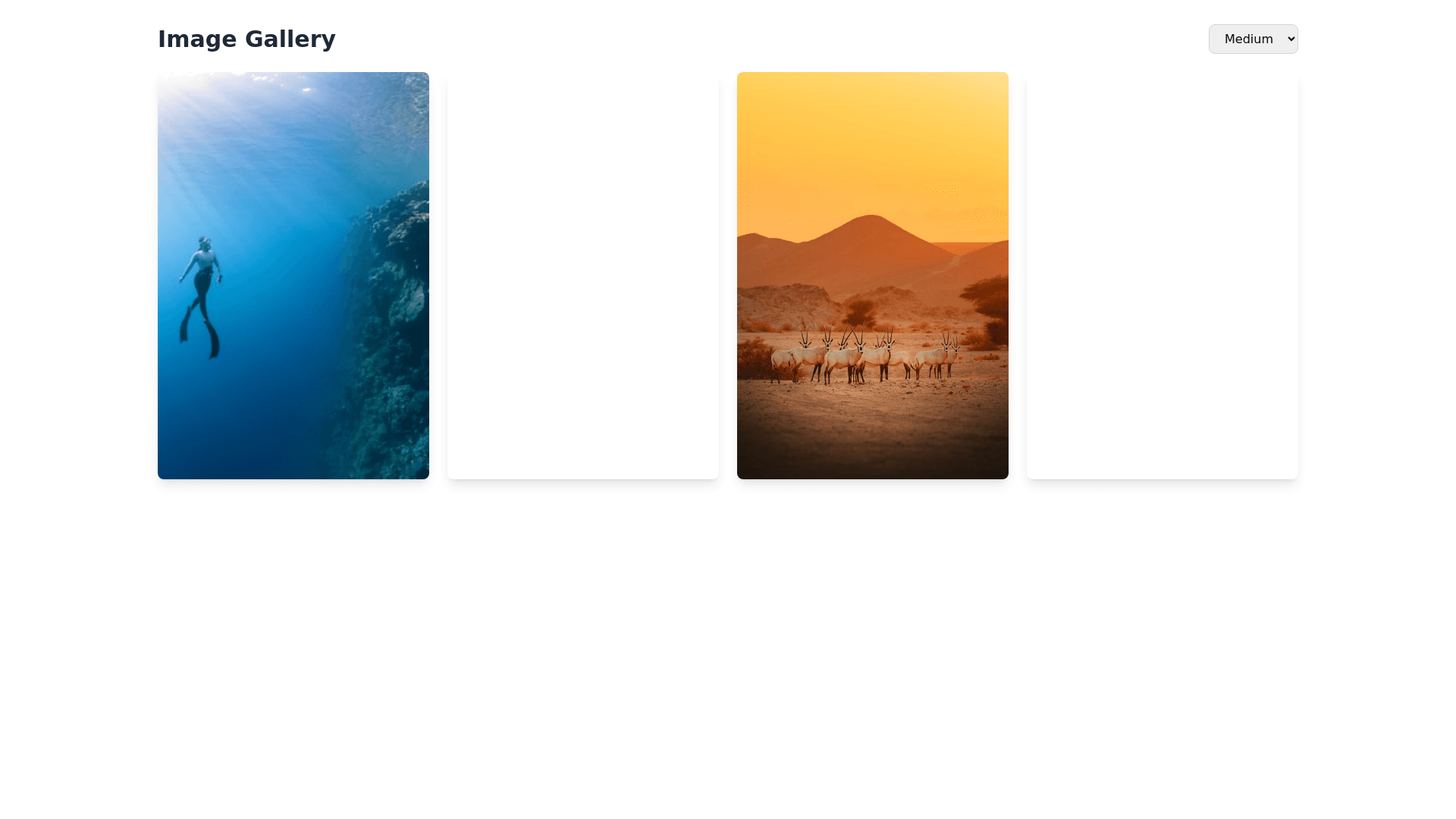 Component Preview
